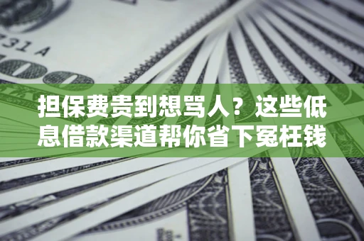 济南担保费贵到想骂人？这些低息借款渠道帮你省下冤枉钱