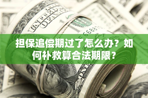济南担保追偿期过了怎么办？如何补救算合法期限？