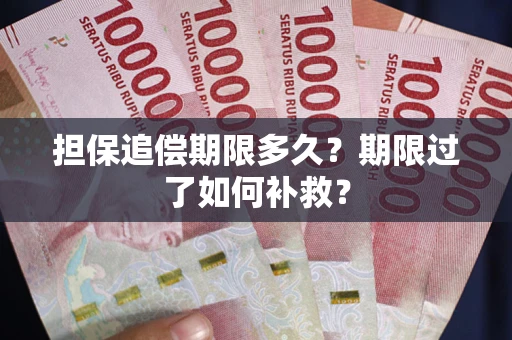 济南担保追偿期限多久？期限过了如何补救？