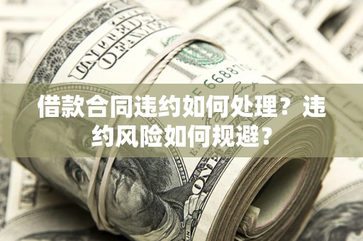 济南借款合同违约如何处理？违约风险如何规避？