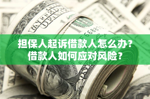 济南担保人起诉借款人怎么办？借款人如何应对风险？