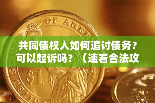 济南共同债权人如何追讨债务？可以起诉吗？（速看合法攻略）