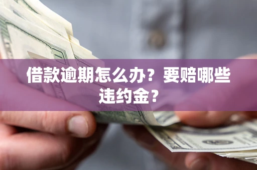 济南借款逾期怎么办？要赔哪些违约金？
