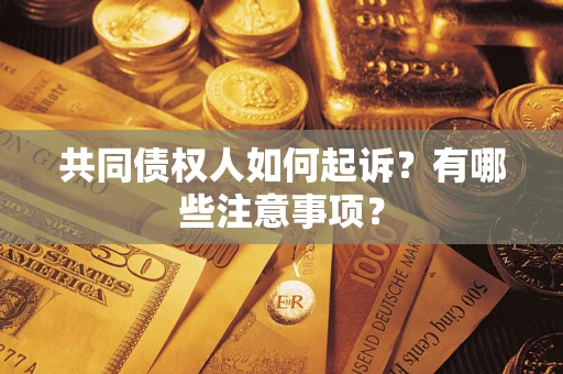 济南共同债权人如何起诉？有哪些注意事项？